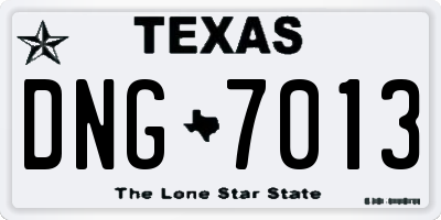 TX license plate DNG7013