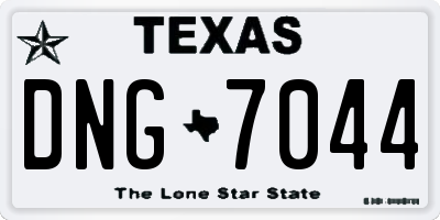 TX license plate DNG7044