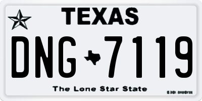 TX license plate DNG7119