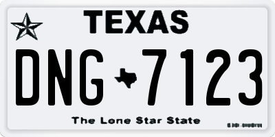 TX license plate DNG7123
