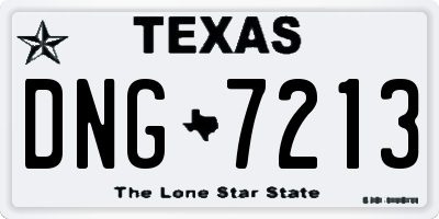TX license plate DNG7213