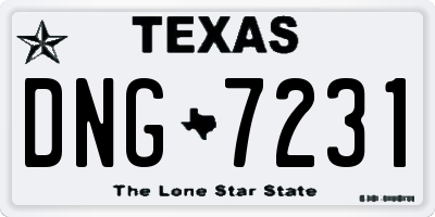 TX license plate DNG7231
