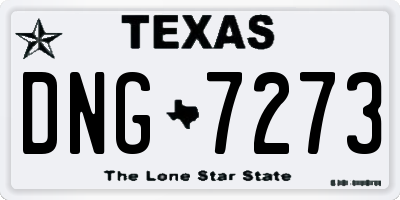 TX license plate DNG7273
