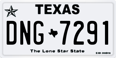 TX license plate DNG7291