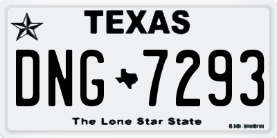 TX license plate DNG7293