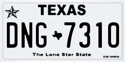 TX license plate DNG7310