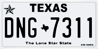 TX license plate DNG7311