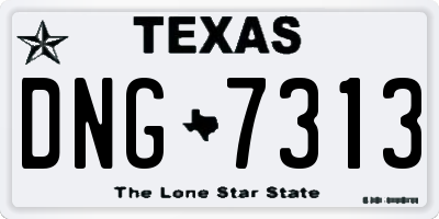 TX license plate DNG7313