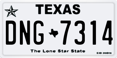 TX license plate DNG7314