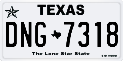 TX license plate DNG7318