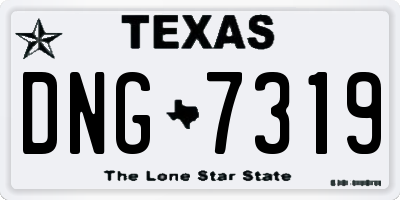TX license plate DNG7319