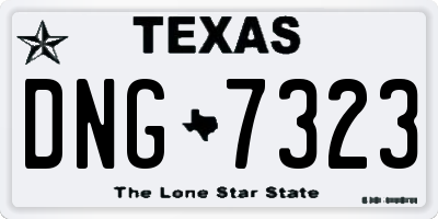 TX license plate DNG7323