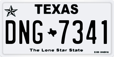 TX license plate DNG7341