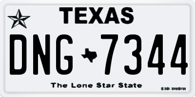 TX license plate DNG7344
