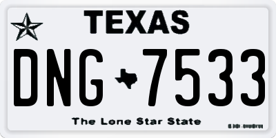 TX license plate DNG7533