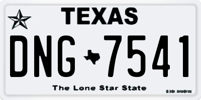 TX license plate DNG7541