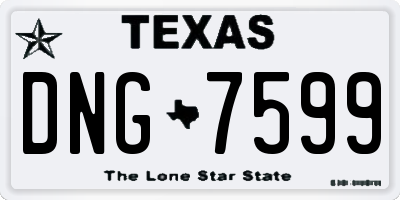 TX license plate DNG7599