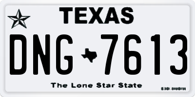 TX license plate DNG7613