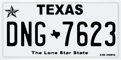 TX license plate DNG7623