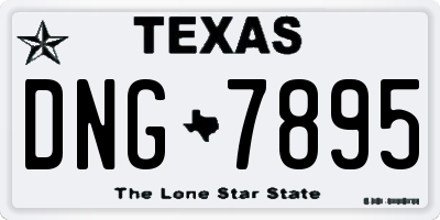 TX license plate DNG7895