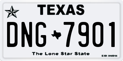 TX license plate DNG7901