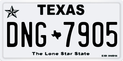 TX license plate DNG7905