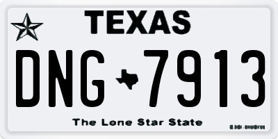 TX license plate DNG7913