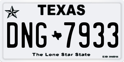 TX license plate DNG7933