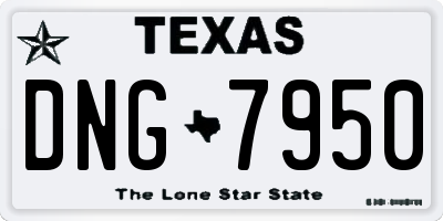 TX license plate DNG7950