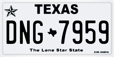 TX license plate DNG7959