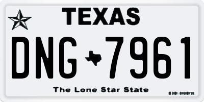 TX license plate DNG7961
