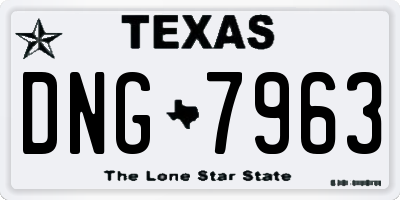 TX license plate DNG7963