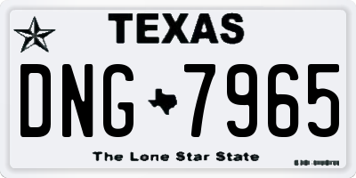 TX license plate DNG7965