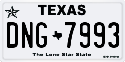TX license plate DNG7993