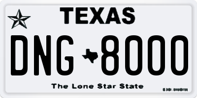 TX license plate DNG8000