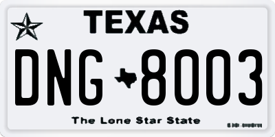 TX license plate DNG8003