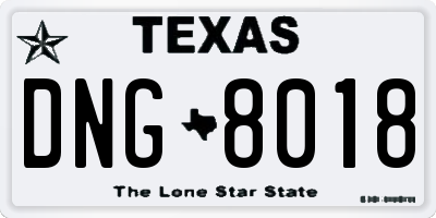 TX license plate DNG8018