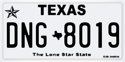 TX license plate DNG8019