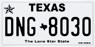 TX license plate DNG8030
