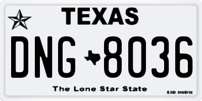 TX license plate DNG8036