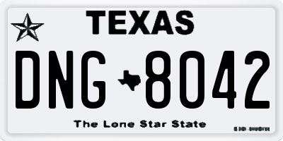 TX license plate DNG8042