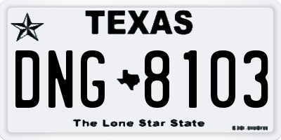 TX license plate DNG8103