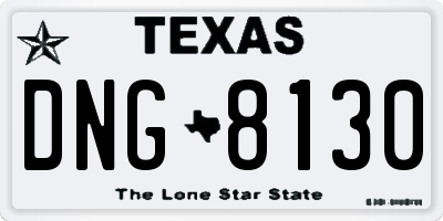 TX license plate DNG8130