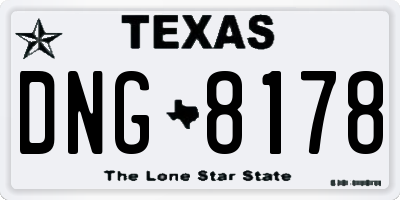 TX license plate DNG8178