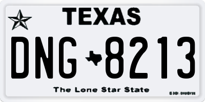 TX license plate DNG8213