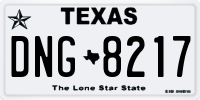 TX license plate DNG8217