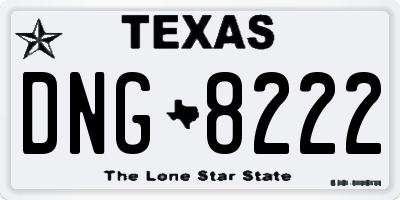 TX license plate DNG8222