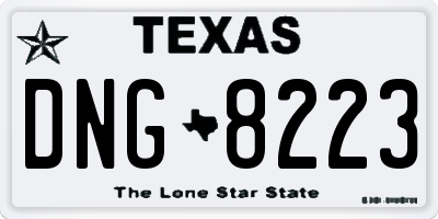 TX license plate DNG8223
