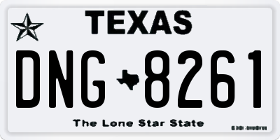 TX license plate DNG8261