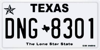 TX license plate DNG8301